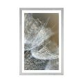 POSTER – MACRO DENTE DI LEONE SULLO SFONDO - FIORI - POSTER
