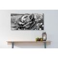 WANDBILD ELEGANTE VINTAGE-ROSE IN SCHWARZ-WEISS - SCHWARZ-WEISSE BILDER - BILDER