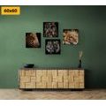 CANVAS PRINT SET WILD ANIMALS - SET OF PICTURES - PICTURES