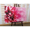 CANVAS PRINT PINK FLOWER - PICTURES FLOWERS - PICTURES