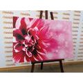TABLEAU SUR TOILE – FLEUR ROSE - TABLEAUX DE FLEURS - TABLEAUX