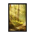 POSTER MIT PASSEPARTOUT SONNENSTRAHLEN IM WALD - NATUR - POSTER