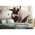 WALL MURAL ANTIQUE GRAMOPHONE - WALLPAPERS VINTAGE AND RETRO - WALLPAPERS