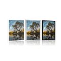 POSTER TREE UNDER THE STARRY SKY - NATURE - POSTERS