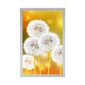 POSTER FLUFFY DANDELION - FLOWERS - POSTERS