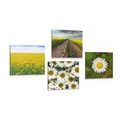 CANVAS PRINT SET MEADOW FULL OF FLOWERS - SET OF PICTURES - PICTURES