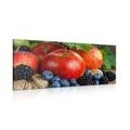 CANVAS PRINT AUTUMN HARVEST - PICTURES OF FOOD AND DRINKS - PICTURES
