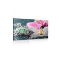 CANVAS PRINT BEAUTIFUL ORCHID IN DETAIL - PICTURES FLOWERS - PICTURES