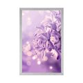 POSTER PURPLE LILAC FLOWER - FLOWERS - POSTERS