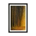 POSTER MIT PASSEPARTOUT WEG IM WALD - NATUR{% if product.category.pathNames[0] != product.category.name %} - GERAHMTE POSTER{% endif %}