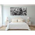 WANDBILD ELEGANTE VINTAGE-ROSE IN SCHWARZ-WEISS - SCHWARZ-WEISSE BILDER - BILDER