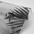 WALL MURAL BLACK AND WHITE SEASHELLS UNDER PALM LEAVES - BLACK AND WHITE WALLPAPERS - WALLPAPERS