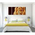 5-PIECE CANVAS PRINT LION'S HEAD IN AN ABSTRACT DESIGN - PICTURES OF ANIMALS{% if product.category.pathNames[0] != product.category.name %} - PICTURES{% endif %}