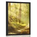 POSTER WITH MOUNT SUN RAYS IN THE FOREST - NATURE - POSTERS