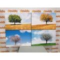 CANVAS PRINT TREE IN SEASONS - PICTURES OF NATURE AND LANDSCAPE{% if product.category.pathNames[0] != product.category.name %} - PICTURES{% endif %}