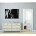 TABLEAU SUR TOILE – CHEVAL MAJESTUEUX EN NOIR ET BLANC - TABLEAUX EN NOIR ET BLANC - TABLEAUX
