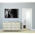 CANVAS PRINT MAJESTIC HORSE IN BLACK AND WHITE - BLACK AND WHITE PICTURES - PICTURES