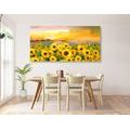 CANVAS PRINT SUNFLOWER FIELD - PICTURES FLOWERS - PICTURES