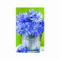 POSTER BOUQUET OF FLOWERS IN A BUCKET - VASES - POSTERS