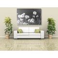 CANVAS PRINT COTTON GRASS IN BLACK AND WHITE - BLACK AND WHITE PICTURES - PICTURES