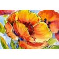 CANVAS PRINT BOUQUET OF POPPY FLOWERS - PICTURES FLOWERS - PICTURES