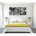 5-PIECE CANVAS PRINT CHARMING MANDALA IN BLACK AND WHITE - BLACK AND WHITE PICTURES - PICTURES