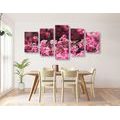 5-PIECE CANVAS PRINT DETAILED CHERRY BLOSSOMS - PICTURES FLOWERS - PICTURES