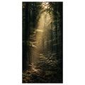OBRAZ TICHÝ LES V RANNÍM SVITU - PICTURES FOREST - PICTURES