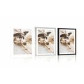 POSTER – COLLEZIONE DI VECCHIE FOGLIE - ANCORA VITA - POSTER
