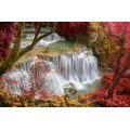 FOTOTAPETE WALDWASSERFALL - TAPETEN MIT NATURMOTIVEN - TAPETEN