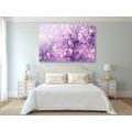 CANVAS PRINT PURPLE LILAC FLOWER - PICTURES FLOWERS - PICTURES