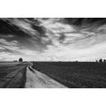 SELF ADHESIVE WALL MURAL BLACK AND WHITE MAGICAL LANDSCAPE - SELF-ADHESIVE WALLPAPERS - WALLPAPERS