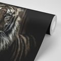 WALL MURAL TIGER - WALLPAPERS ANIMALS - WALLPAPERS