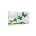 CANVAS PRINT LEAVES IN THE WIND - PICTURES OF NATURE AND LANDSCAPE{% if product.category.pathNames[0] != product.category.name %} - PICTURES{% endif %}