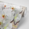 CARTA DA PARATI ORCHIDEA BIANCA SU TELA - FIORI DI CARTA DA PARATI - CARTA DA PARATI