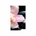 POSTER WITH MOUNT EXOTIC ORCHID - FENG SHUI - POSTERS