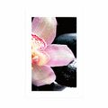 POSTER MIT PASSEPARTOUT EXOTISCHE ORCHIDEE - FENG SHUI - POSTER