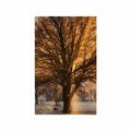 POSTER BAUM IN VERSCHNEITER LANDSCHAFT - NATUR - POSTER