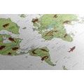 DECORATIVE PINBOARD MAP WITH ANIMALS - PICTURES ON CORK - PICTURES