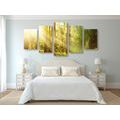 5-PIECE CANVAS PRINT SUN RAYS IN THE FOREST - PICTURES OF NATURE AND LANDSCAPE - PICTURES