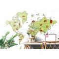 SELF ADHESIVE WALLPAPER MAP WITH ANIMALS - SELF-ADHESIVE WALLPAPERS - WALLPAPERS