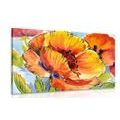 CANVAS PRINT BOUQUET OF POPPY FLOWERS - PICTURES FLOWERS - PICTURES