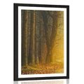 POSTER WITH MOUNT PATH IN THE FOREST - NATURE - POSTERS