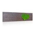 CANVAS PRINT HEART SHAPED LEAF ON A WOODEN BACKGROUND - STILL LIFE PICTURES - PICTURES