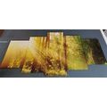 QUADRO IN 5 PARTI RAGGI DI SOLE NELLA FORESTA - QUADRI DI NATURA E PAESAGGIO - QUADRI