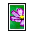 AFFICHE AVEC MONTURE FLEUR DE COSMOS DE JARDIN DE MONT - FLEURS - AFFICHES