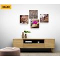 CANVAS PRINT SET FENG SHUI IN A NATURAL DESIGN - SET OF PICTURES - PICTURES