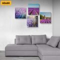 CANVAS PRINT SET BEAUTIFUL LAVENDER FIELDS - SET OF PICTURES - PICTURES