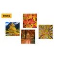 CANVAS PRINT SET AUTUMN NATURE IN BEAUTIFUL COLORS - SET OF PICTURES - PICTURES