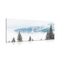 CANVAS PRINT SNOWY PINE TREES - PICTURES OF NATURE AND LANDSCAPE - PICTURES